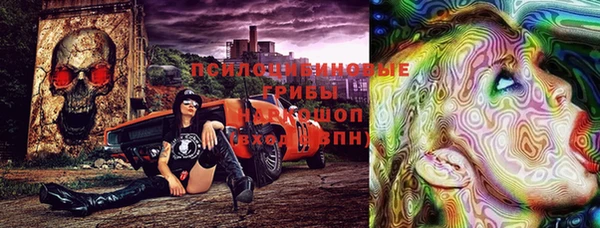 PSILOCYBIN Белокуриха